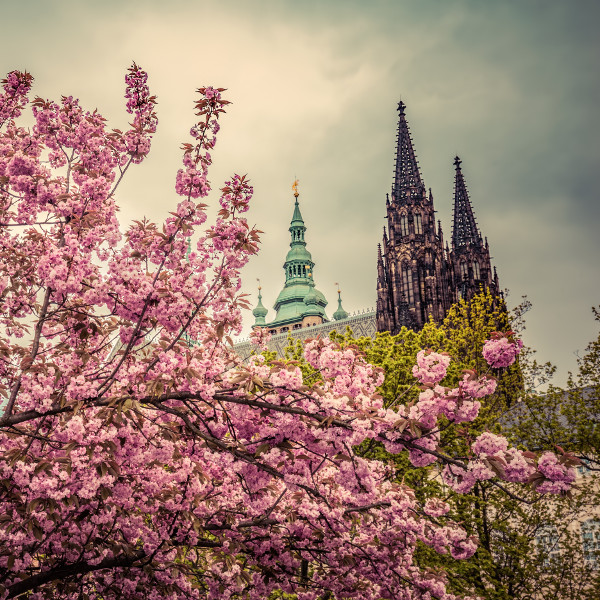 Visit Prague in the spring.
