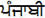 Punjabi in Gurmukhi script