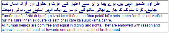 Article 1 in Urdu