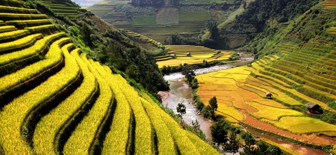 Austro-Asiatic language family, agricultural landscape