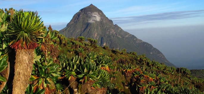 Imagenes De Ruanda