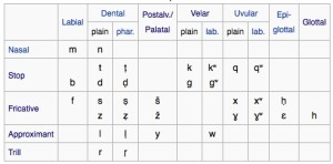 tachelhit consonants