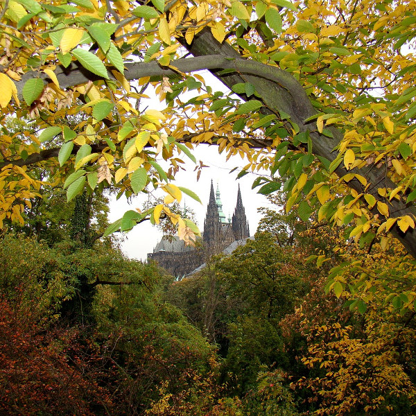 Visit Prague in the fall.