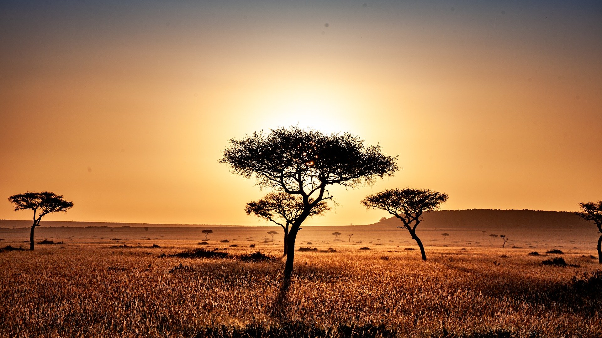 Kenya Travel Complete Guide Trip Planning MustGo
