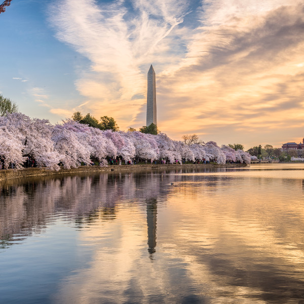 Things to do in Washington