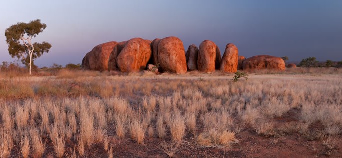 Warlpiri language