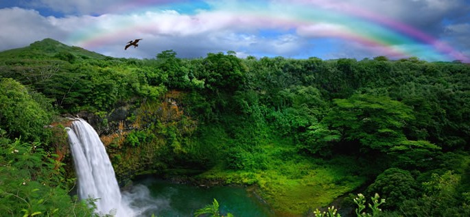 Hawaiian Creole language